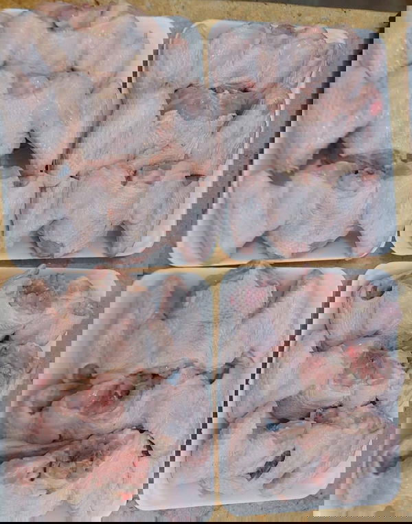 اجنحه Image 1 Preview