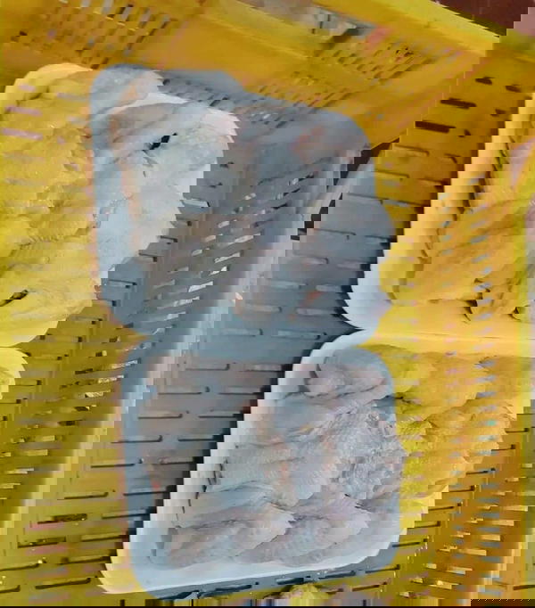 اجنحه Image 4 Preview
