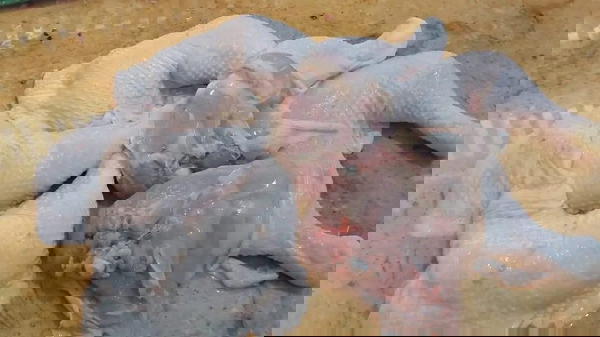اوراك Image 5 Preview