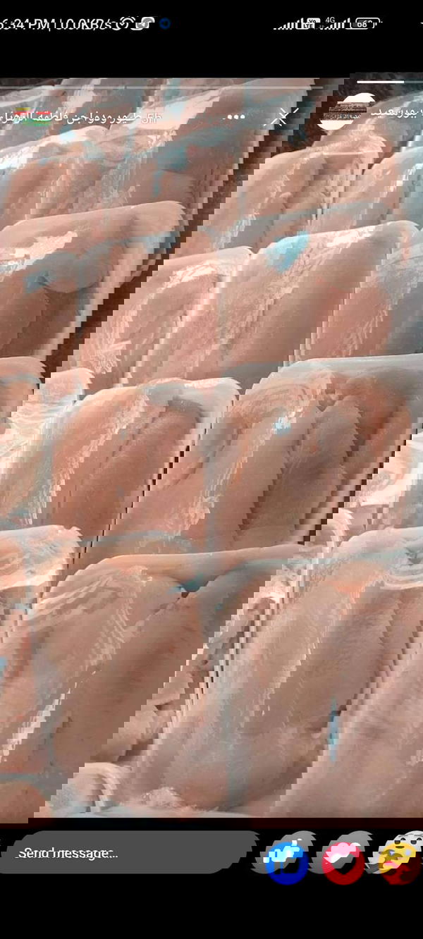 بانيه Image 3 Preview