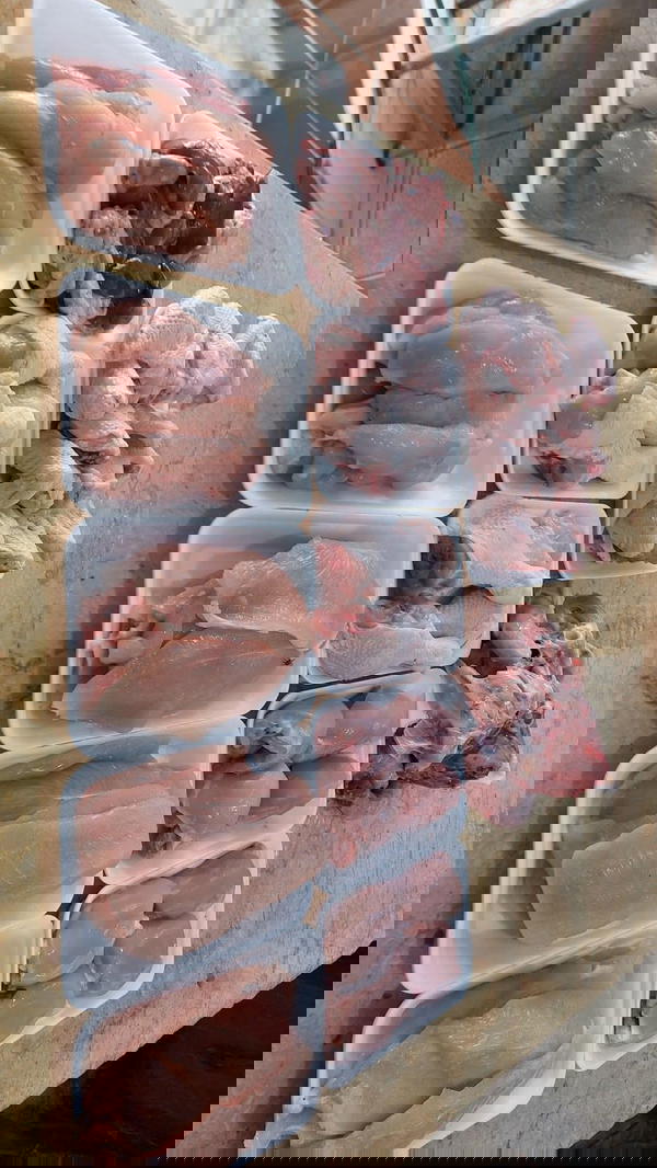 فراخ المزاج من اختيارك Image 3 Preview