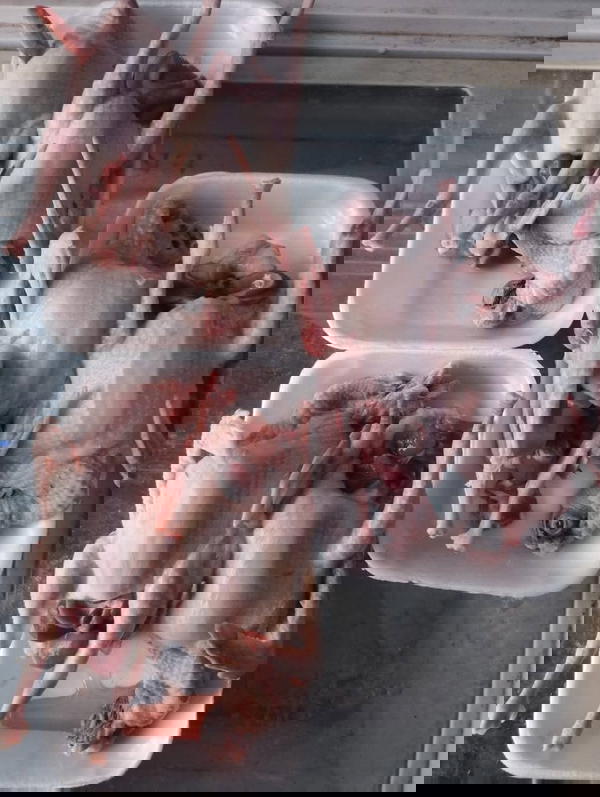 حمام Image 1 Preview