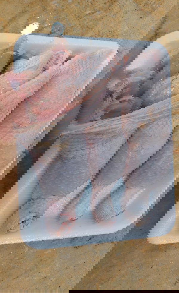 حمام كداب أوراك Image 2 Preview