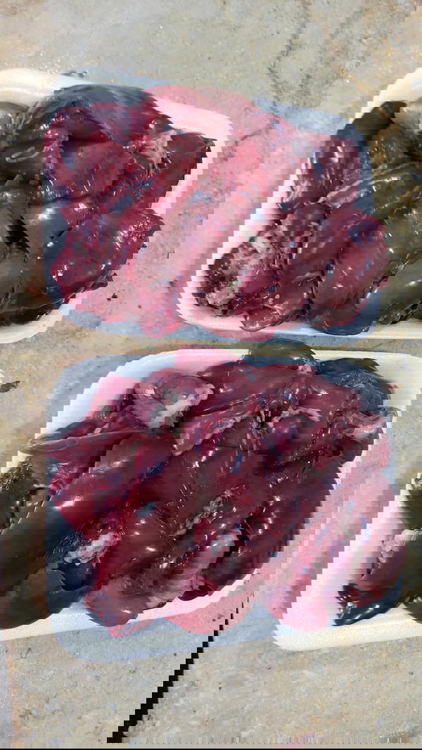 كبد وقوانص Image 1 Preview