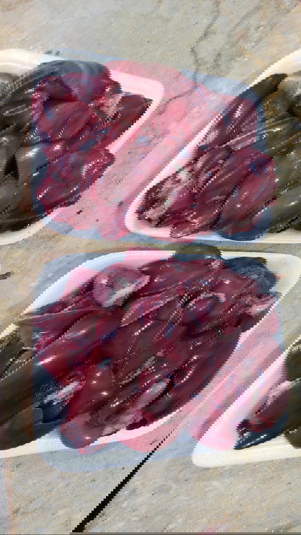 كبد وقوانص Preview Image