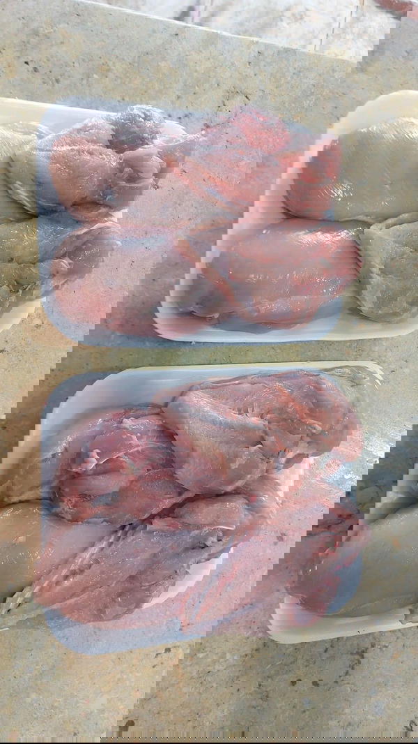 صدور مخليه Image 1 Preview