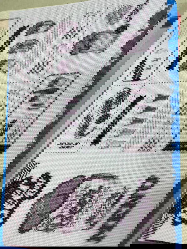 بلاس ميت  Image 1 Preview