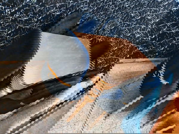 سفره Image 1 Preview