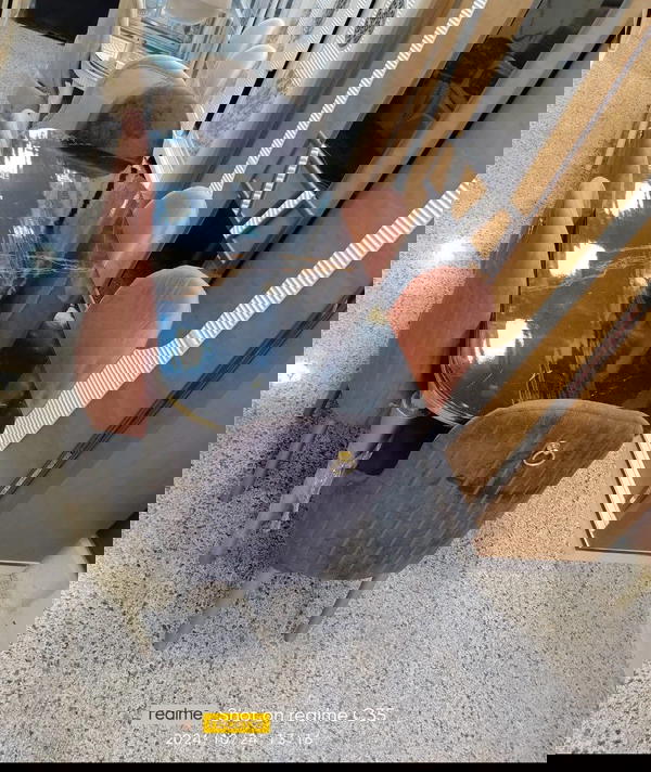 سفره Image 2 Preview