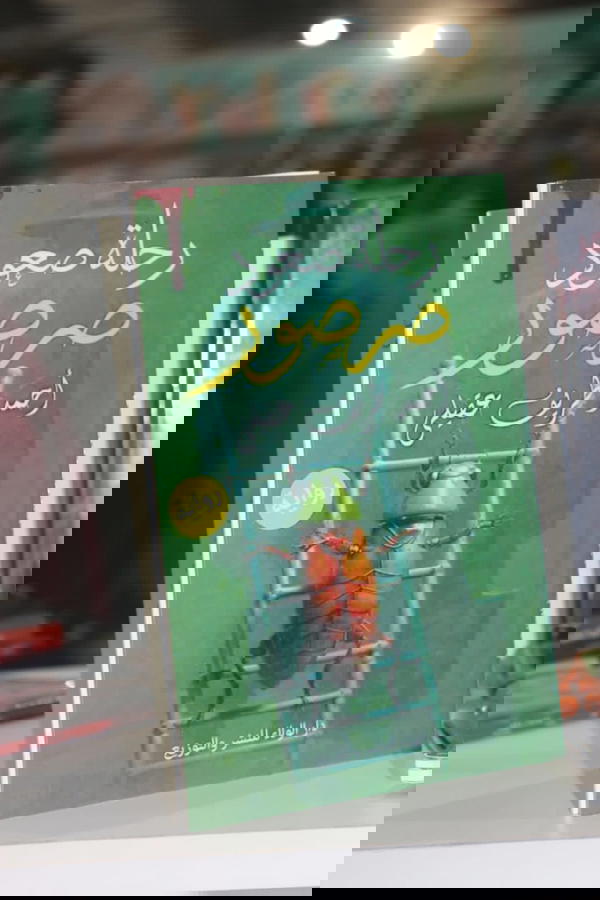 رحلة صعود صرصور  Image 2 Preview