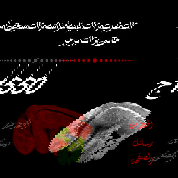 2ك طرب، 2ك بانية فراشة، 2ك حاتي او سجق، 2ك برجر Image 1 Preview
