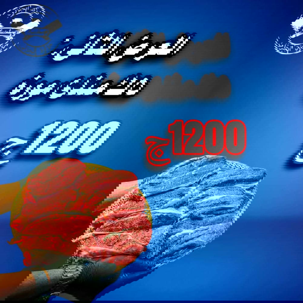 5ك مندي بتلو Preview Image