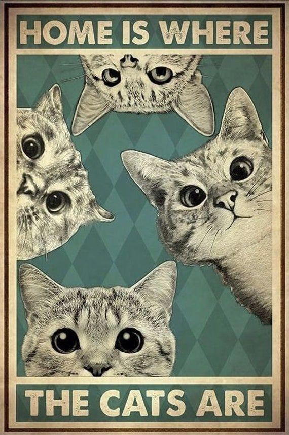 poster Preview Image