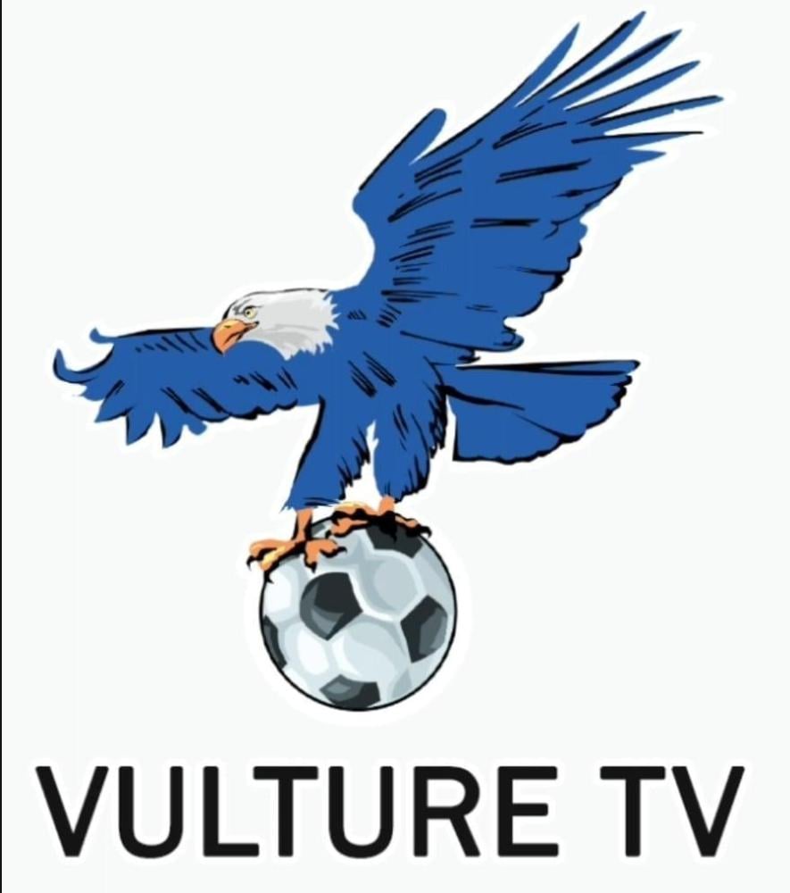 vulture tv  Preview Image