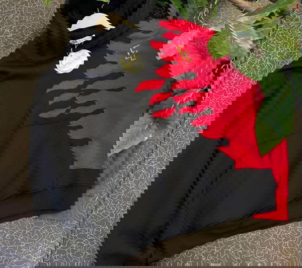 هودى مبطن Image 4 Preview