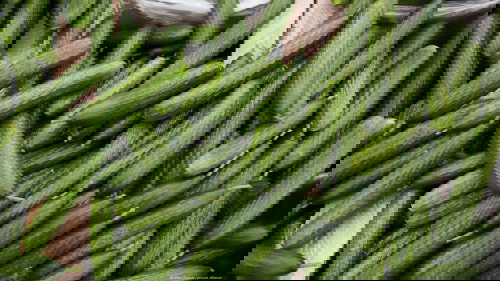 خيار سلطة Preview Image