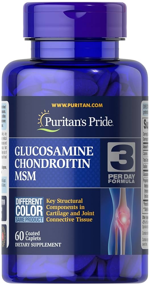 Glucosamine Chondroitin MSM  Preview Image