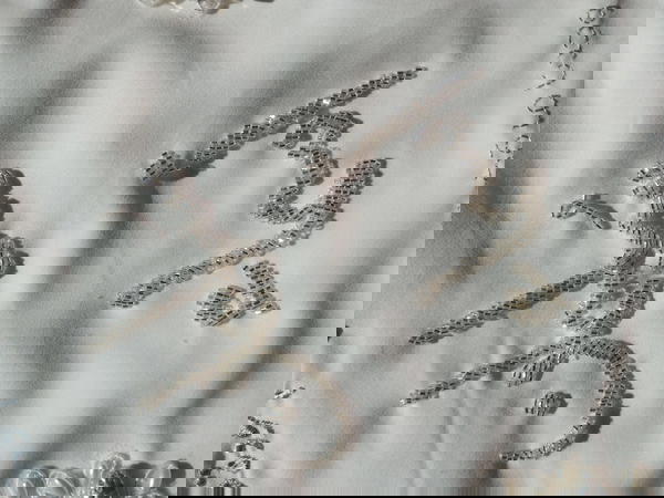 منديل كتب كتاب Image 3 Preview