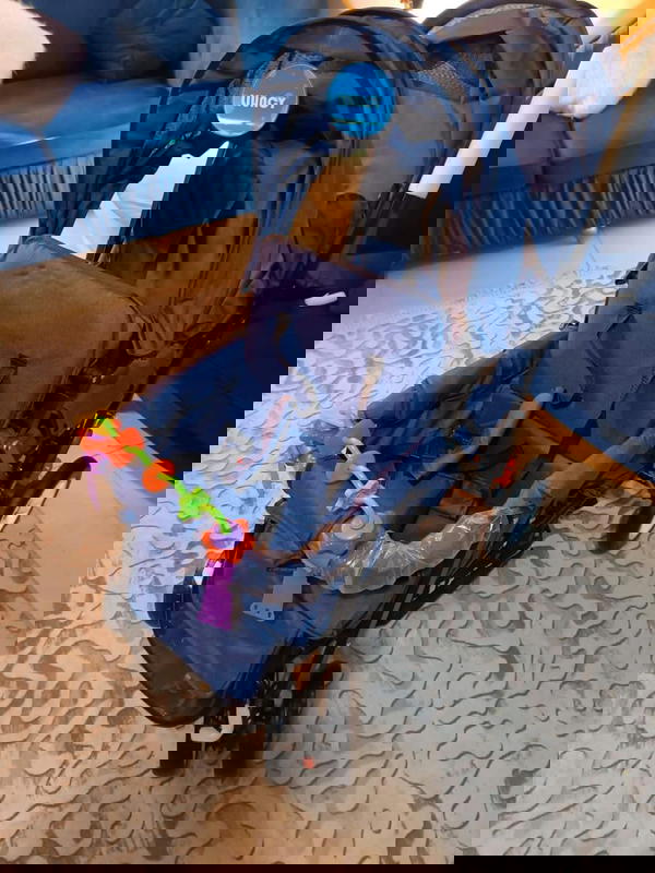 عربة أطفال توأم لانسي كبيرة خفيفة الوزن وقابلة للطي  Image 6 Preview