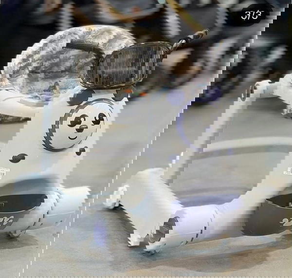 مشاية  للاطفال  2*1 Image 3 Preview