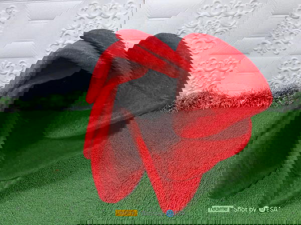 وردة الاستحمام  Image 5 Preview