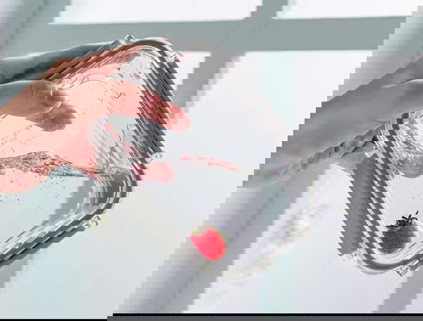 علبه تلاجه Image 1 Preview