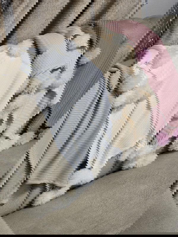 بلانكيت قطن Image 3 Preview