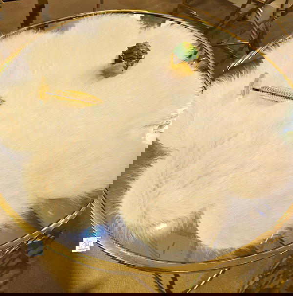 كوسترفرو  Image 3 Preview