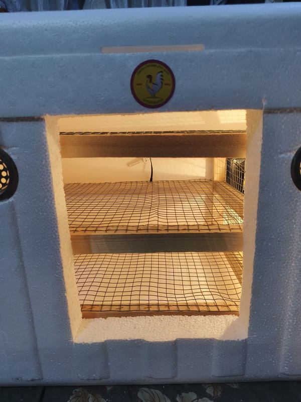 فقاسة محلي بوكس فلين 225 بيضة Image 2 Preview