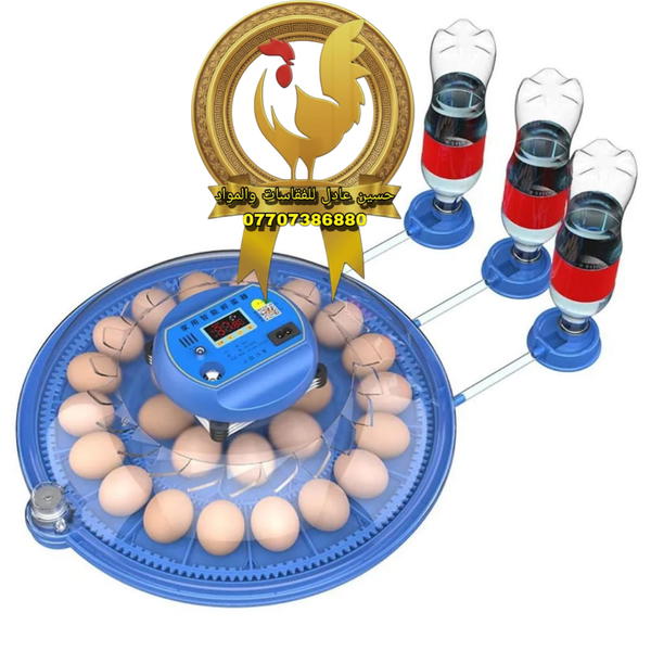 فقاسة مستديرة(26) بيضة جوكر جميع بيض الطيور Image 1 Preview