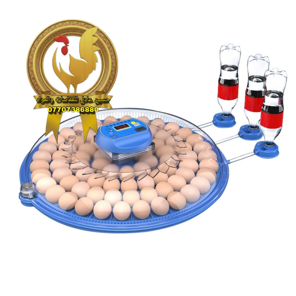 فقاسة مستديرة(52) بيضة جوكر جميع بيض الطيور Preview Image