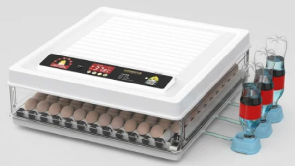 فقاسة مستطيل (130) بيضة جوكر جميع بيض الطيور Image 2 Preview