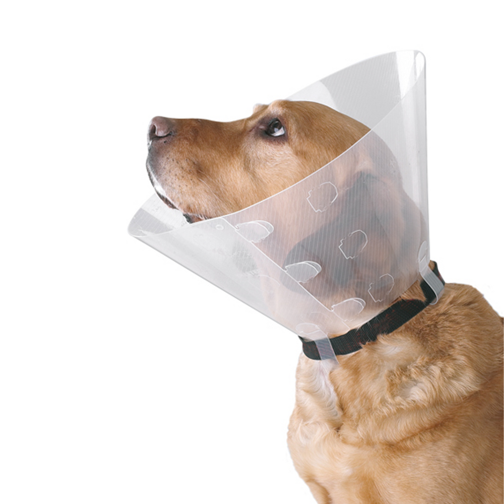 BUSTER Clic Collar – 100% PE Preview Image