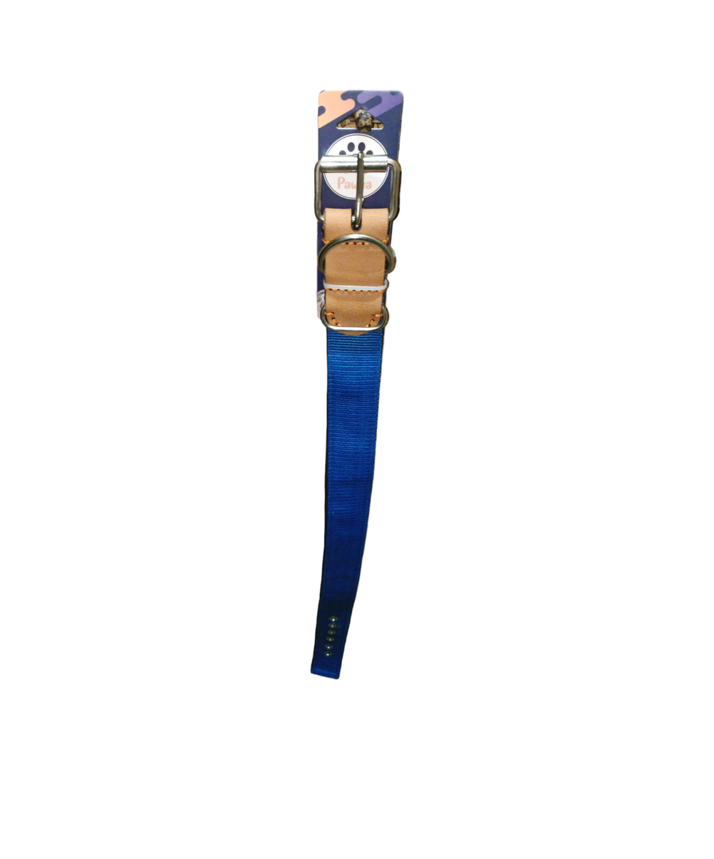 Blue padded collar, size XL for dogs Preview Image
