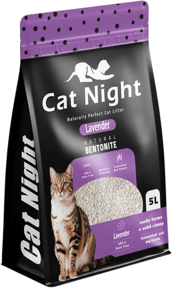 Cat Night Letters Lavender 5L Preview Image