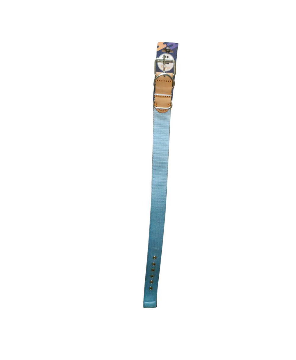 Light blue padded collar, size XL for dogs Preview Image