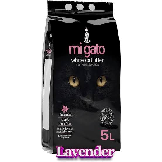Mi gato cat letters Lavender 5L Preview Image