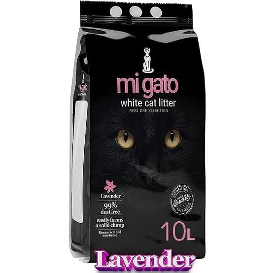 Mi gato cat letters lavender 10L Image 1 Preview