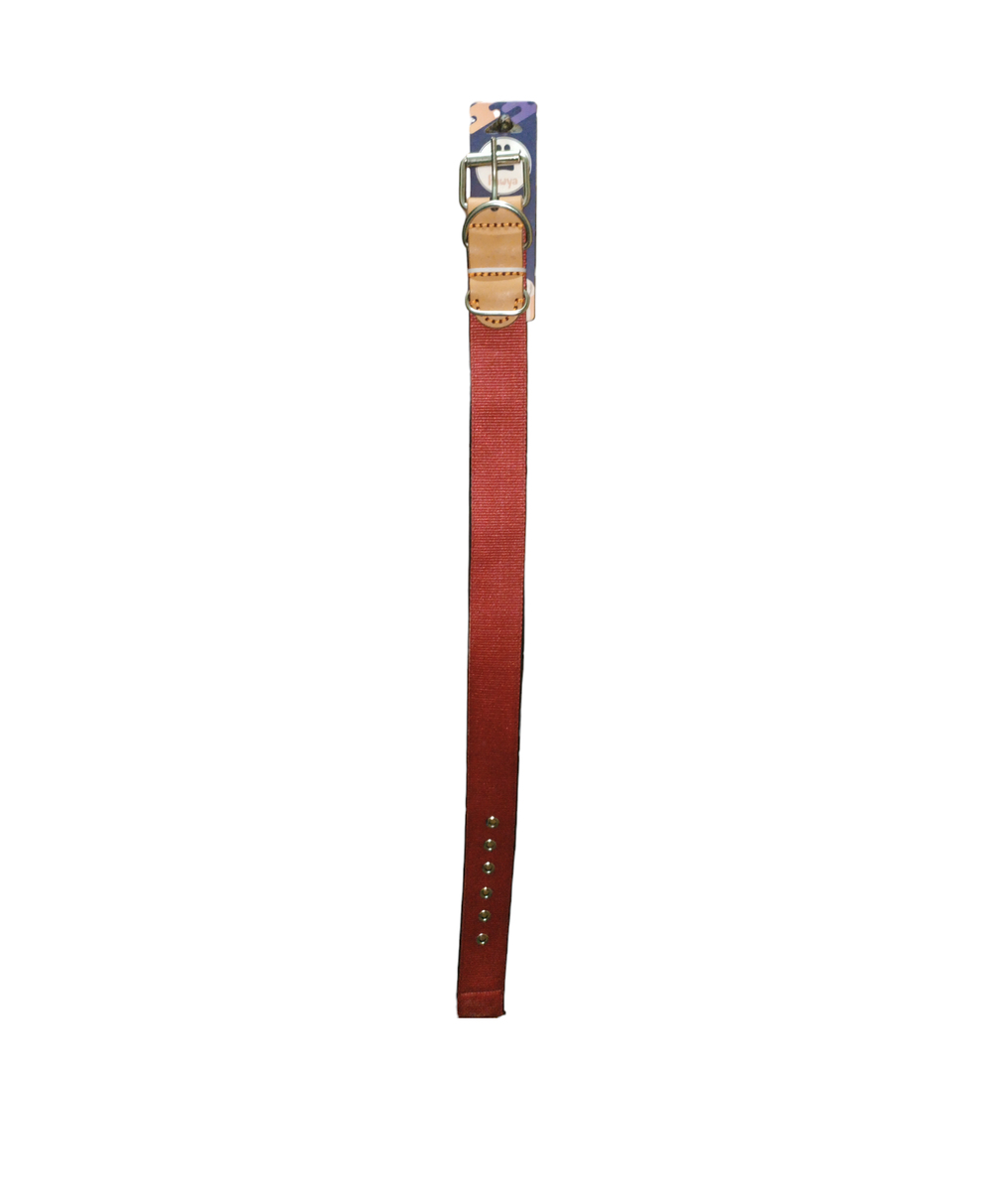 Red padded collar, medium size for dogs Preview Image