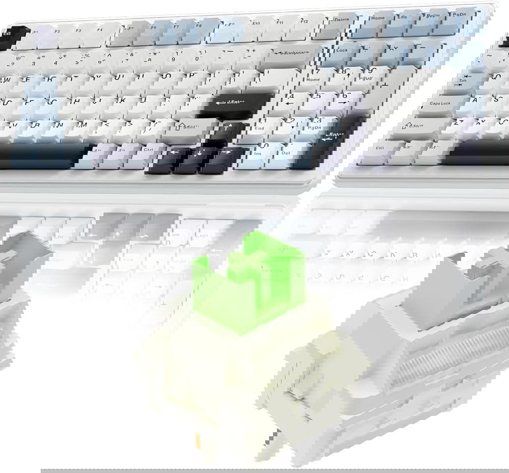 AULA F99 Preview Image