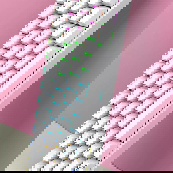 كيبورد DP61 ريد سويتج  Image 2 Preview