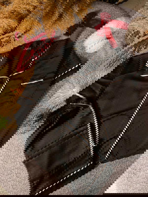 بيجامه ستان Image 2 Preview