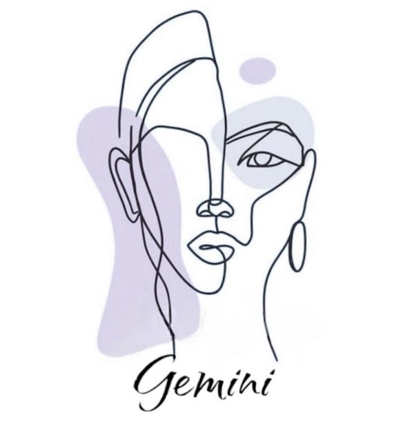 Gemini accessories  Logo