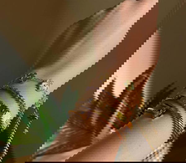 اربع قطع  Image 1 Preview