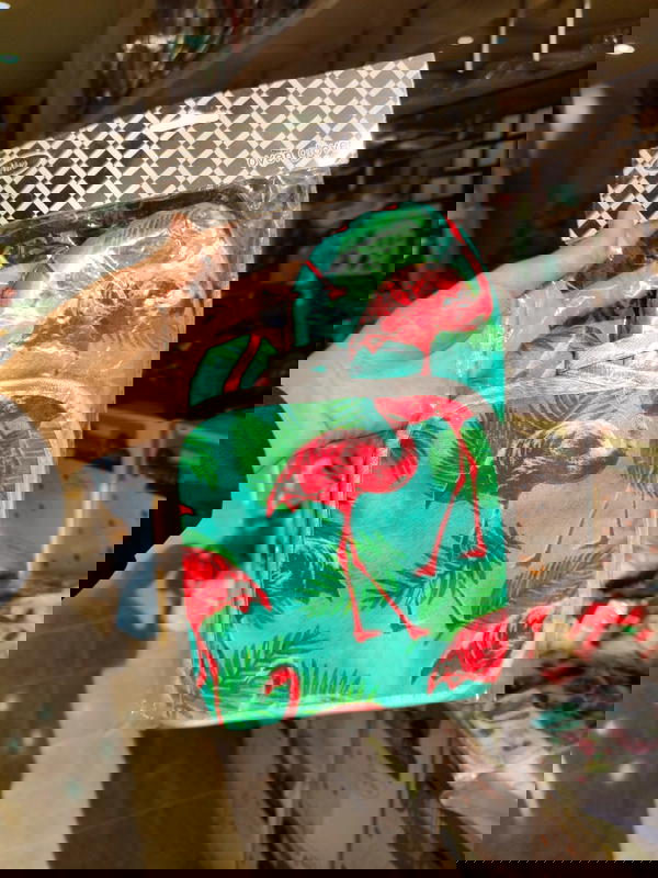 جونتى و ماسك  Image 1 Preview