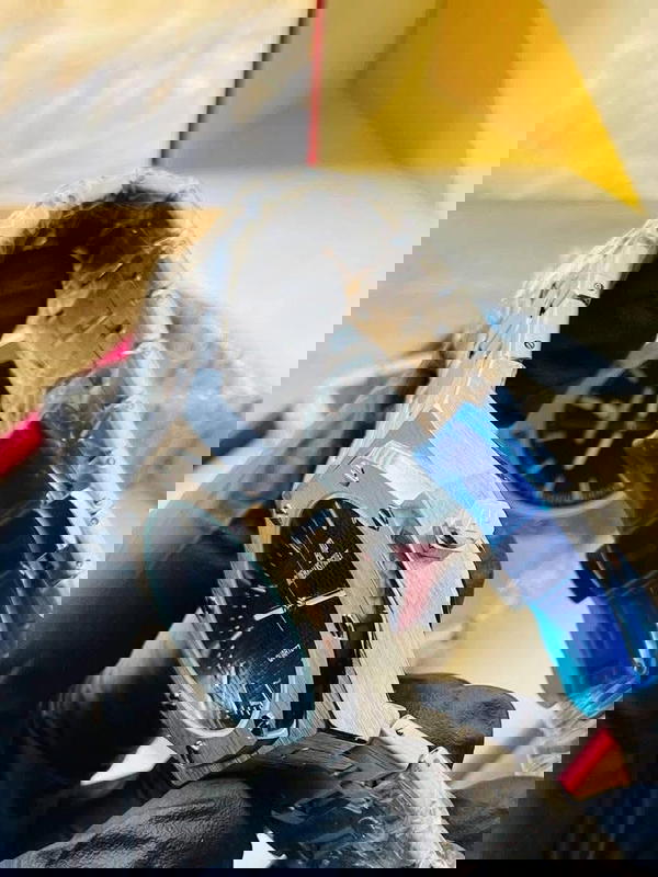 AUDEMARS PIGUET Image 8 Preview