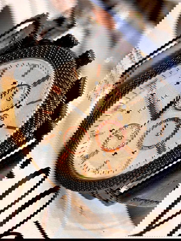 FOSSIL Image 4 Preview