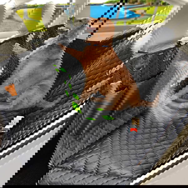 غطاء سياره Image 2 Preview