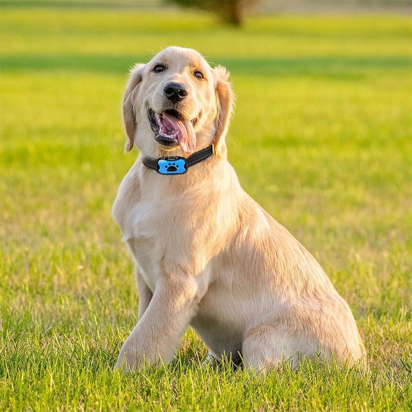 جهاز تحكم بالنباح Image 6 Preview