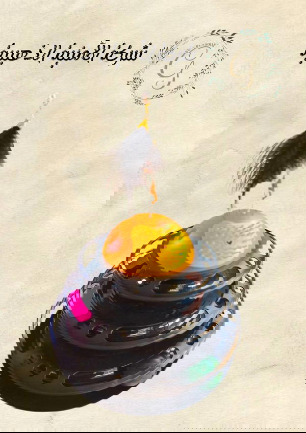 لعبة القطط الدائرية مع الكرات والريشة Image 1 Preview